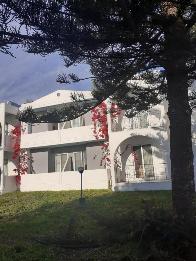 Summer Dream Theológos Exterior foto